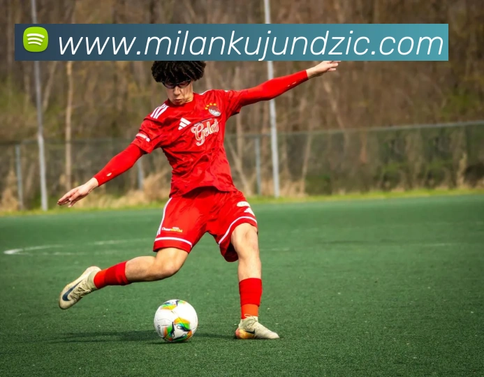 米兰体育平台生态图